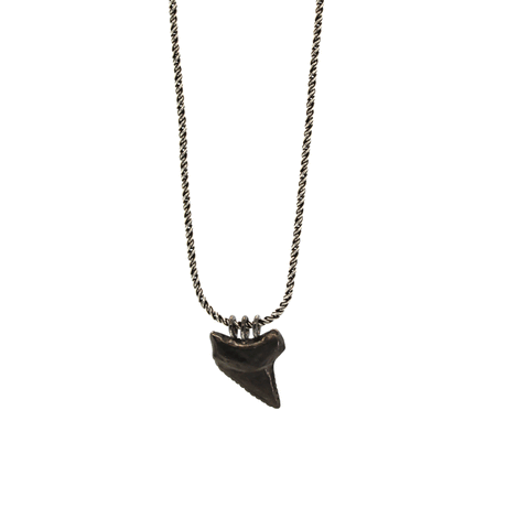 Shark Tooth Necklace